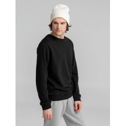 Свитшот унисекс BNC Inspire (Organic), черный