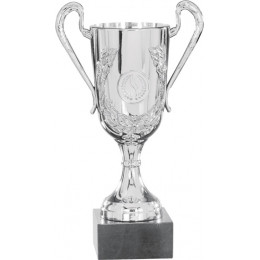 Кубок 9030A (21см)