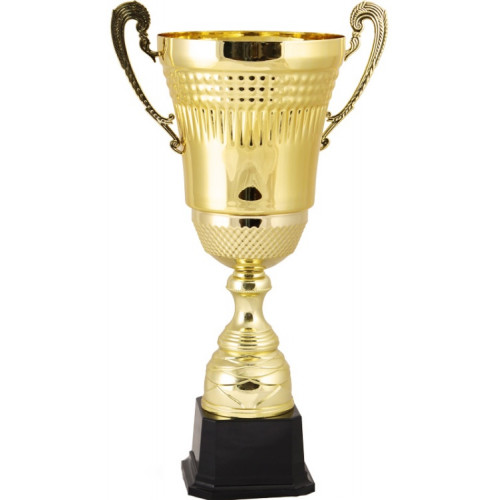 Кубок 2009E (40см) D-160