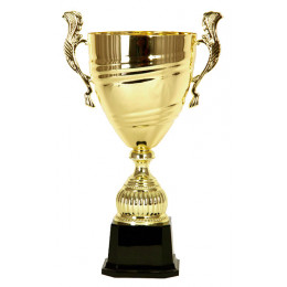 Кубок 3532A (48 см) D-200