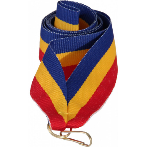 Лента (шир.22 мм) V2-BL/Y/RD Ростовская область