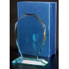 Награда стеклянная (сувенир) G007 240х170х11+футляр