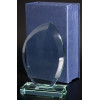 Награда стеклянная (сувенир) G010 210х130х18 в комплекте коробка